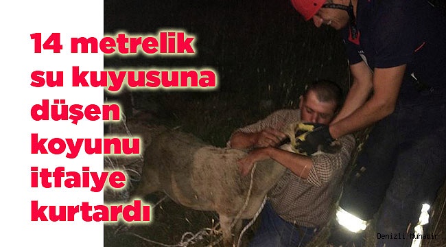 14 metrelik su kuyusuna düşen koyunu itfaiye kurtardı