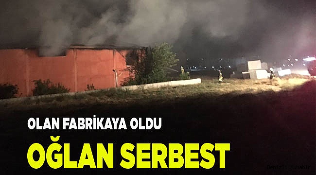 BABASININ FABRİKASINI YAKMIŞTI