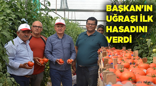 BAŞKAN'IN UĞRAŞI İLK HASADINI VERDİ