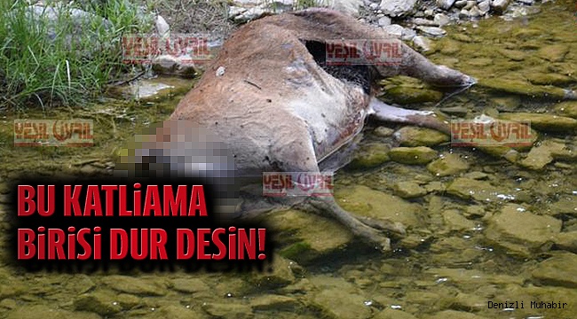 BU KATLiAMA BiRiSi DUR DESiN!