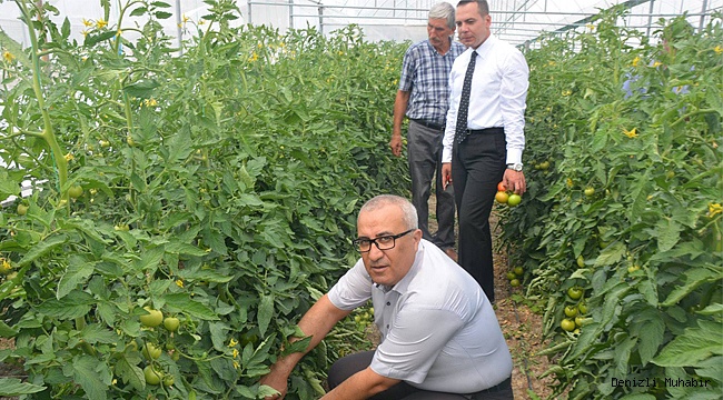 Çameli domatesi Arabistan'a gitmek için yola çıktı