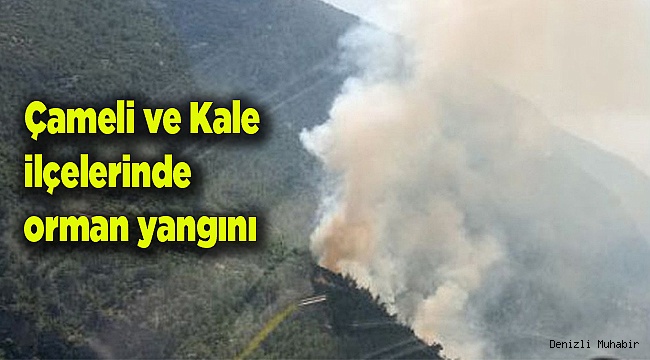 Çameli ve Kale ilçelerinde orman yangını