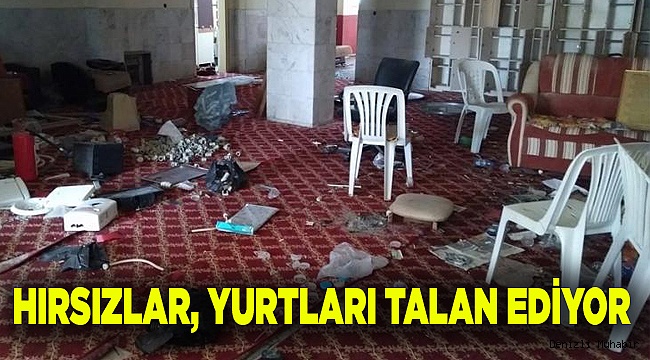 HIRSIZLAR TALAN EDİYOR