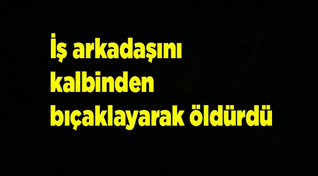 İş arkadaşını kalbinden bıçaklayarak öldürdü