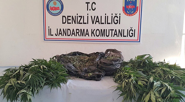 Jandarmadan uyuşturucu operasyonu
