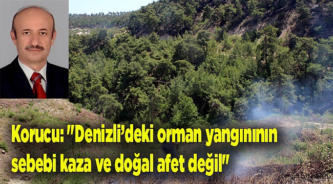 Korucu: "Denizli'deki orman yangının sebebi kaza ve doğal afet değil"