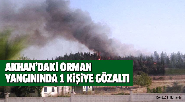 ORMAN YANGININDA 1 KİŞİ GÖZALTINA ALINDI