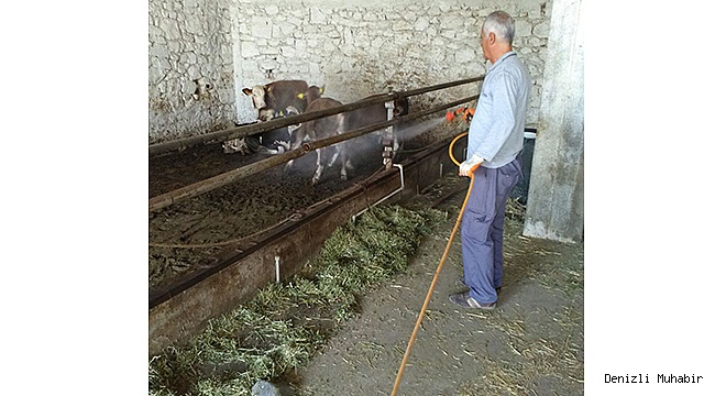 SARAYKÖY BELEDİYESİ’NDEN KARASİNEKLERE ETKİLİ ÇÖZÜM