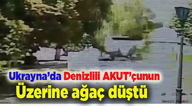 Turistik gezi için gittiği Ukrayna’da üzerine ağaç düştü