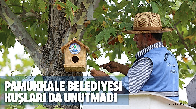 100 KUŞ YUVASI ASILDI
