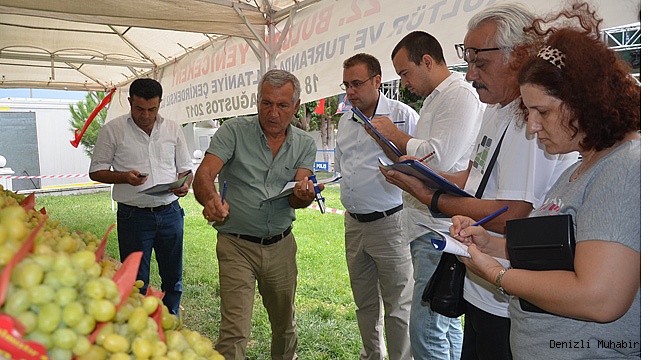 22. Buldan-Yenicekent Tripolis Sultaniye Çekirdeksiz Üzüm Festivali Yapıldı