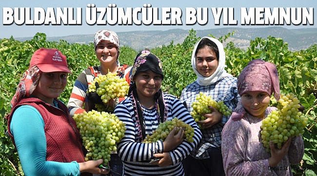 BULDANLI ÜZÜMCÜLERDE YÜZLER GÜLÜYOR