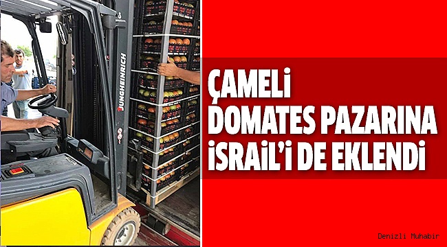 ÇAMELi İSRAİL’E İHRACATA BAŞLADI