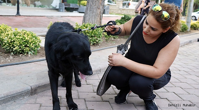 Cumhurbaşkanı Erdoğan 'Cesur' köpek için otobüsten indi
