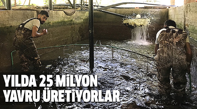 DENİZLİ ÜRETİMİNİN YÜZDE 44'ÜNÜ KARŞILIYORLAR