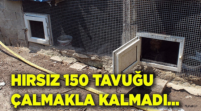 EV  SAHİBİ BUNU HİÇ BEKLEMİYORDU