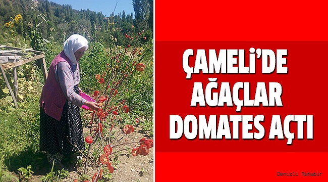 KIŞLIK ERZAK HAZIRLIKLARI BAŞLADI