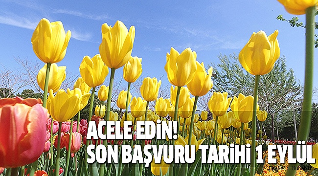 O YARIŞMAYA İLGİ BÜYÜK