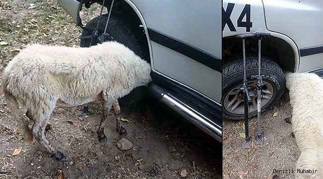 ARACIN ÇAMURLUĞUNA KAFASI SIKIŞTI