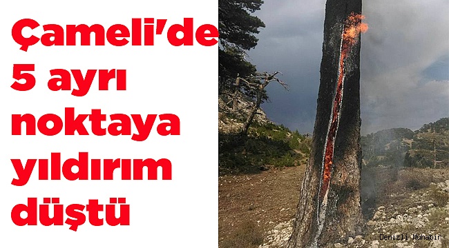 Çameli'de 5 ayrı noktaya yıldırım düştü