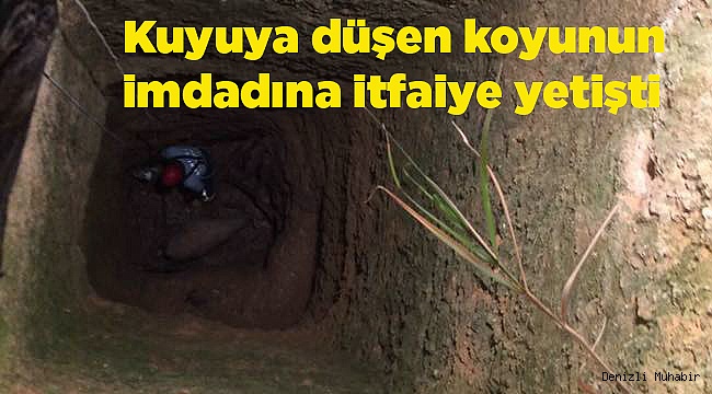 Kuyuya düşen koyunun imdadına itfaiye yetişti