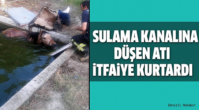 SU İÇERKEN KANALA DÜŞTÜ