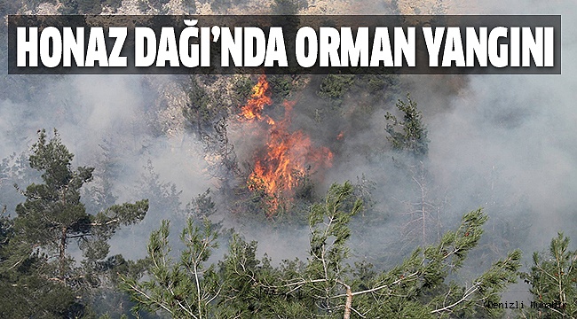 YANGIN KONTROL ALTINA ALINDI
