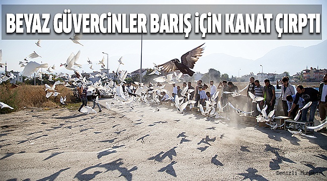 500 GÜVERCİN, BARIŞ İÇİN HAVALANDI