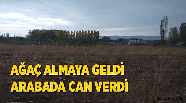 Ağaç almak için geldiği Denizli’de öldü