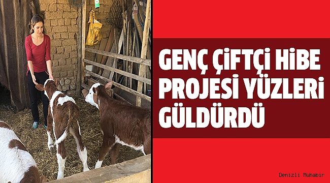 BÜYÜKBAŞ HAYVANLARIN DOĞUMLARI BAŞLADI