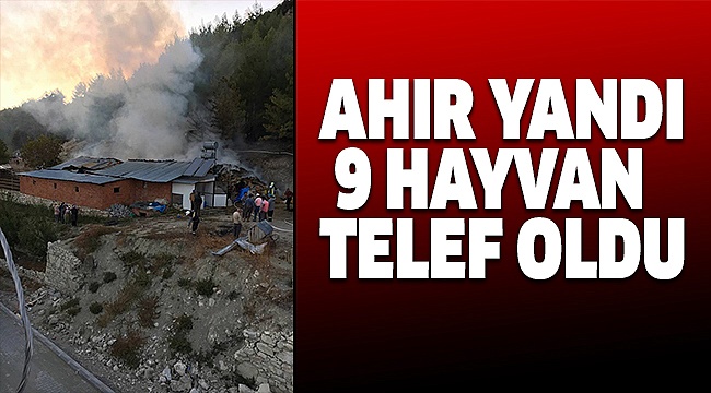 ÇAMELİ’DE AHIR YANGINI
