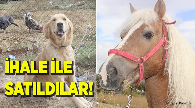 İHALE İLE SATILDILAR