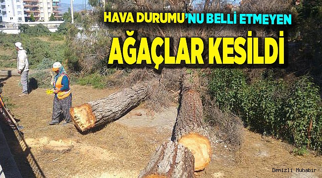 ÖLÇÜMLER ARTIK SAĞLIKLI YAPILIR