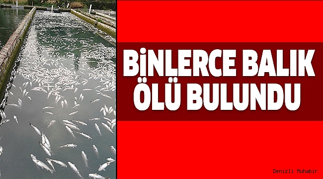 ÖLÜM NEDENLERi ARAŞTIRILIYOR