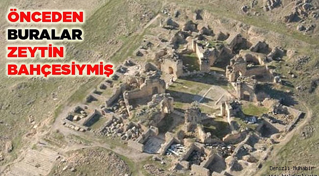 ÖNCEDEN BURALAR ZEYTİN BAHÇESİYMİŞ