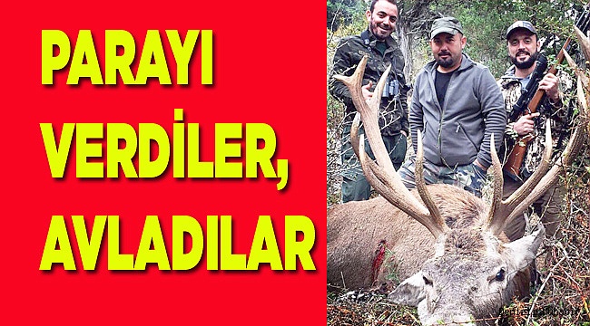 PARAYI VERDİLER,  AVLADILAR