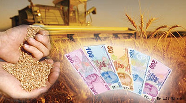 TARIMSAL YATIRIMLARA HİBE DESTEĞİ BAŞVURULARI BAŞLADI