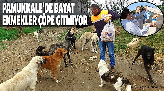 550 NOKTADAN YILDA 15 BİN BAYAT EKMEK TOPLANIYOR