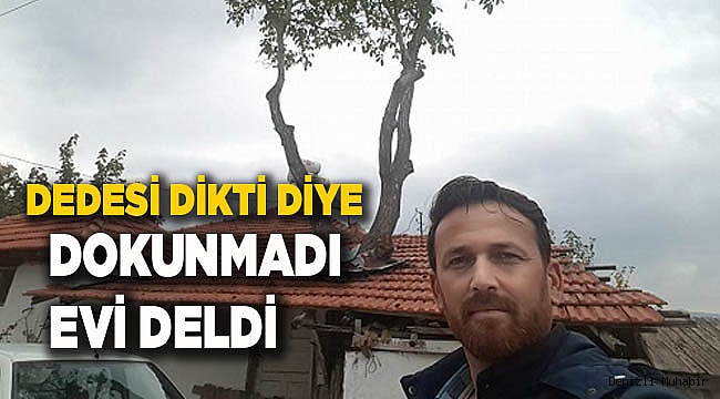 DEDE YADİGARI DİYE GÖZÜ GİBİ BAKTI