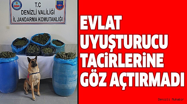 DENİZLİ’DE UYUŞTURUCU OPERASYONU: 2 GÖZALTI