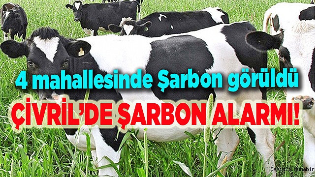 Dört mahalleye şarbon karantinası
