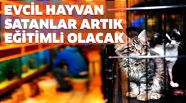 EVCİL HAYVAN TİCARETİ YAPANLAR EĞİTİM ALACAK
