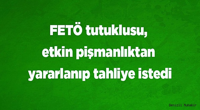 FETÖ tutuklusu, etkin pişmanlıktan yararlanıp tahliye istedi
