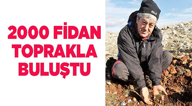 Doğaya can vermek isteyenler Gömce tepelerindeydi…