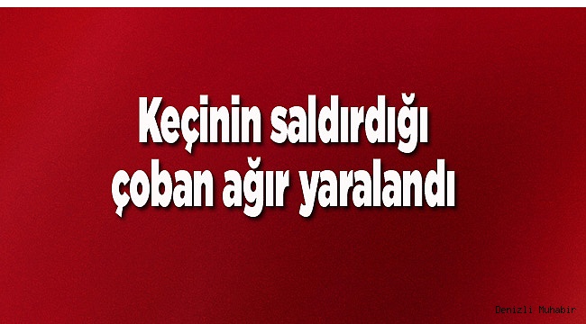 Keçinin saldırdığı çoban ağır yaralandı