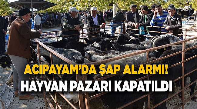 ACIPAYAM'DA ŞAP ALARMI!