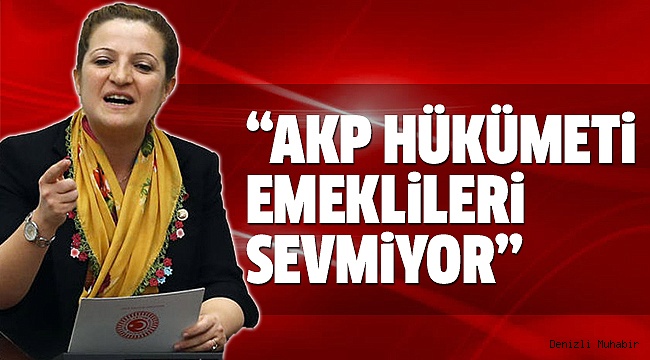 BASMACI, EMEKLİLERİN SORUNLARINI MECLİSE TAŞIDI
