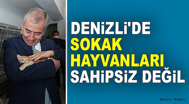 BÜYÜKŞEHİR SOKAK HAYVANLARINA KUCAK AÇTI