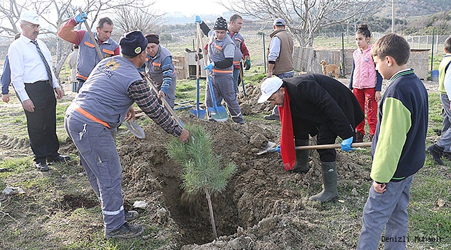 DAHA YEŞİL BİR BULDAN İÇİN 2000 FİDAN