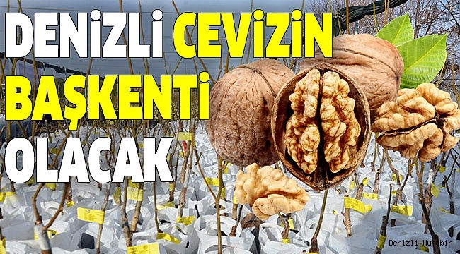 DENİZLİLİ ÜRETİCİLERE 20 BİN FİDAN DAĞITILDI